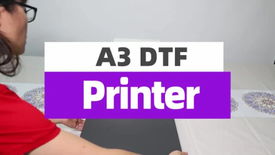 Erasmart Small Desktop Digital Fabric Textile Garment A3 Dtf Printer Pet Film Heat Transfer Press Inkjet Tshirt T